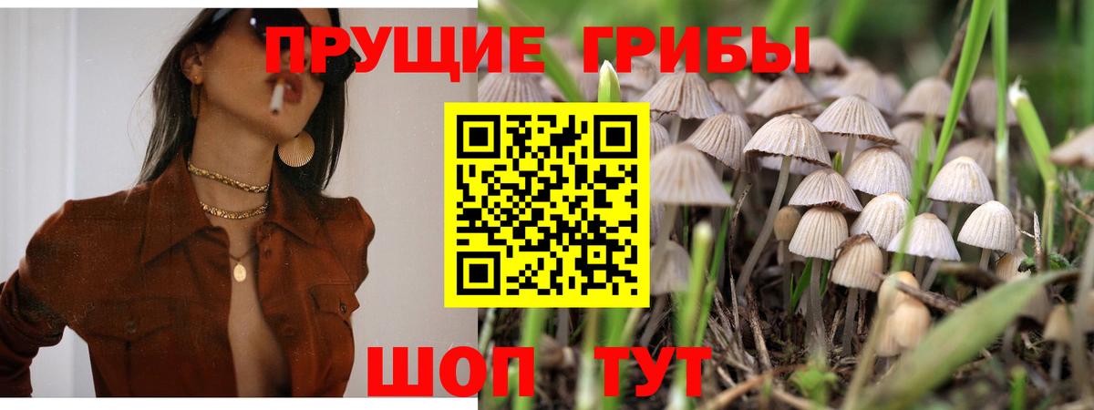 Можга  Псилоцибиновые грибы прущие грибы  Галлюциногенные грибы Magic Shrooms  Вход с VPN 
