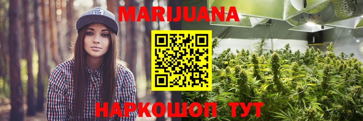Конопля White Widow Можга
